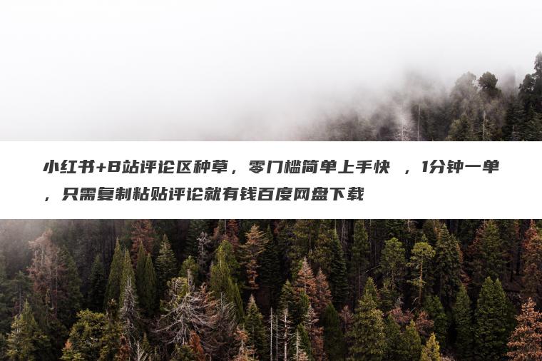 小红书+B站评论区种草，零门槛简单上手快 ，1分钟一单，只需复制粘贴评论就有钱百度网盘下载
