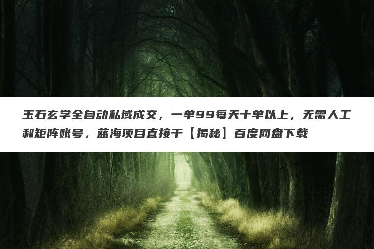 玉石玄学全自动私域成交，一单99每天十单以上，无需人工和矩阵账号，蓝海项目直接干【揭秘】百度网盘下载