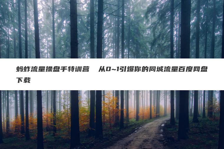 蚂蚱流量操盘手特训营​ 从0~1引爆你的同城流量百度网盘下载