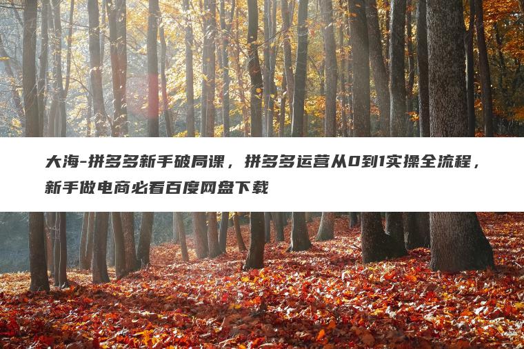 大海-拼多多新手破局课，拼多多运营从0到1实操全流程，新手做电商必看百度网盘下载