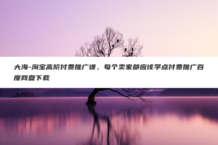 大海-淘宝高阶付费推广课，每个卖家都应该学点付费推广百度网盘下载