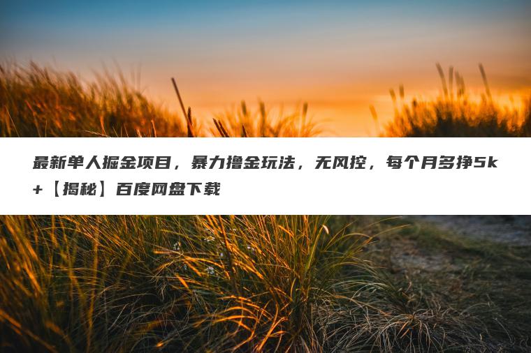 最新单人掘金项目，暴力撸金玩法，无风控，每个月多挣5k+【揭秘】百度网盘下载