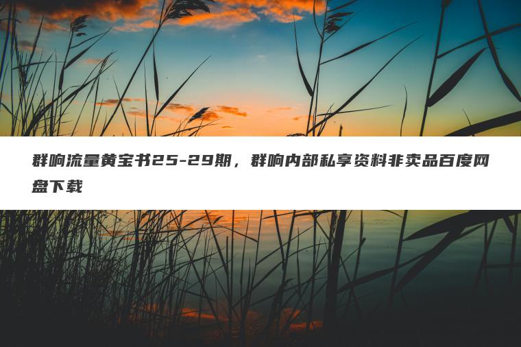 群响流量黄宝书25-29期，群响内部私享资料非卖品百度网盘下载