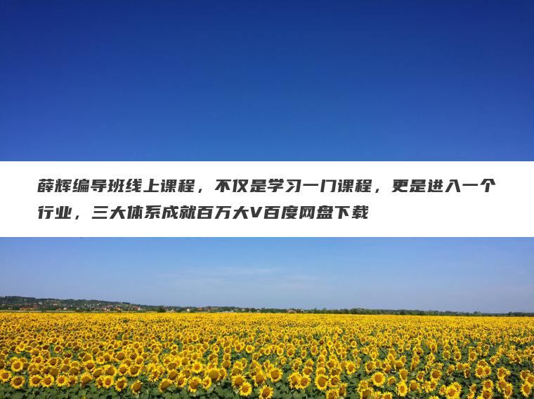 薛辉编导班线上课程，不仅是学习一门课程，更是进入一个行业，三大体系成就百万大V百度网盘下载