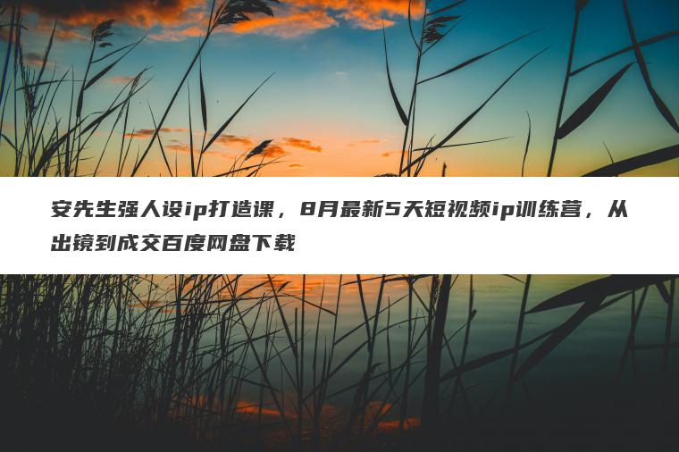 安先生强人设ip打造课，8月最新5天短视频ip训练营，从出镜到成交百度网盘下载