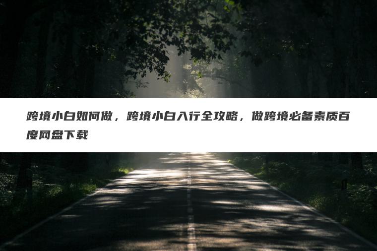跨境小白如何做，跨境小白入行全攻略，做跨境必备素质百度网盘下载