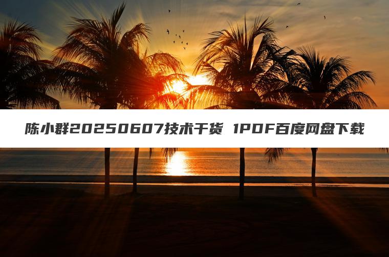 陈小群20250607技术干货 1PDF百度网盘下载