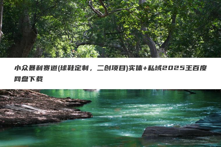 小众暴利赛道(球鞋定制，二创项目)实体+私域2025王百度网盘下载