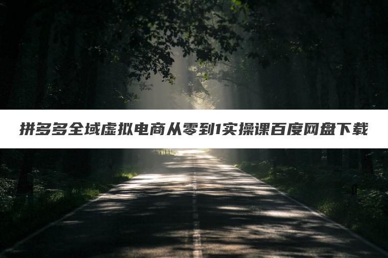 拼多多全域虚拟电商从零到1实操课百度网盘下载 拼多多全域虚拟电商从零到1实操课百度网盘下载