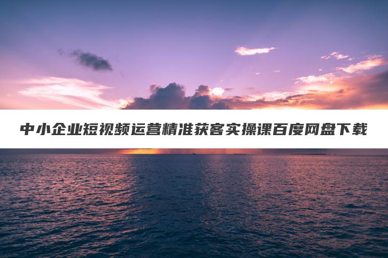 中小企业短视频运营精准获客实操课百度网盘下载 中小企业短视频运营精准获客实操课百度网盘下载