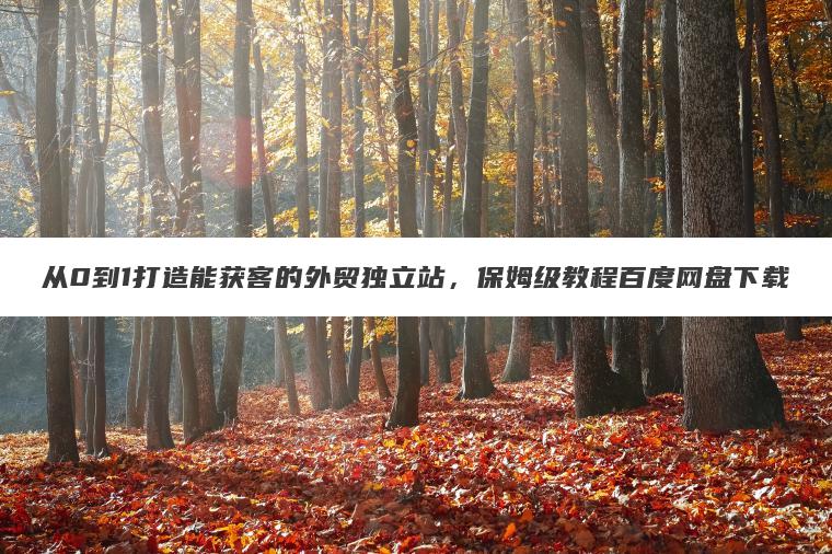 从0到1打造能获客的外贸独立站,保姆级教程百度网盘下载 从0到1打造能获客的外贸独立站,保姆级教程百度网盘下载
