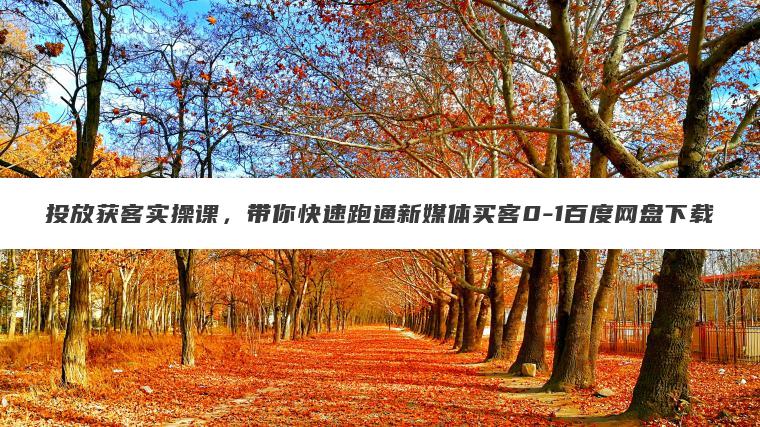 投放获客实操课,带你快速跑通新媒体买客0-1百度网盘下载 投放获客实操课,带你快速跑通新媒体买客0-1百度网盘下载