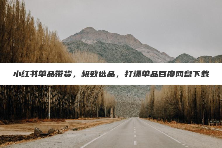 小红书单品带货,极致选品,打爆单品百度网盘下载 小红书单品带货,极致选品,打爆单品百度网盘下载