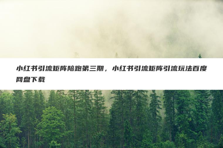 小红书引流矩阵陪跑第三期，小红书引流矩阵引流玩法百度网盘下载