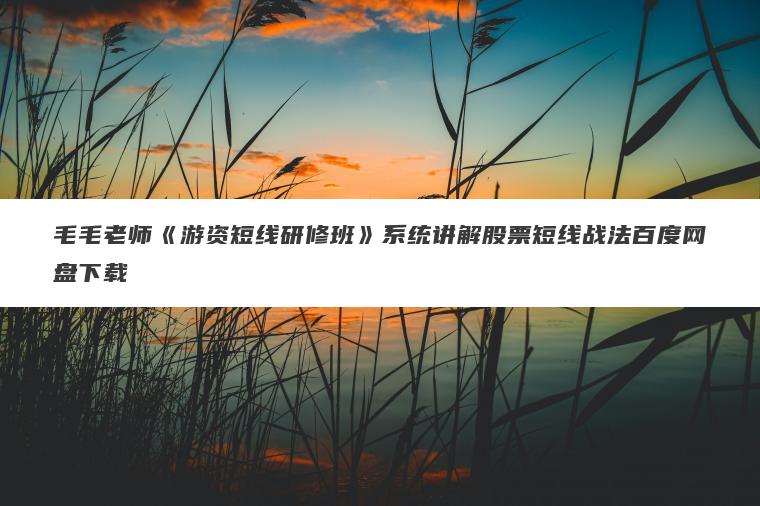 毛毛老师《游资短线研修班》系统讲解股票短线战法百度网盘下载