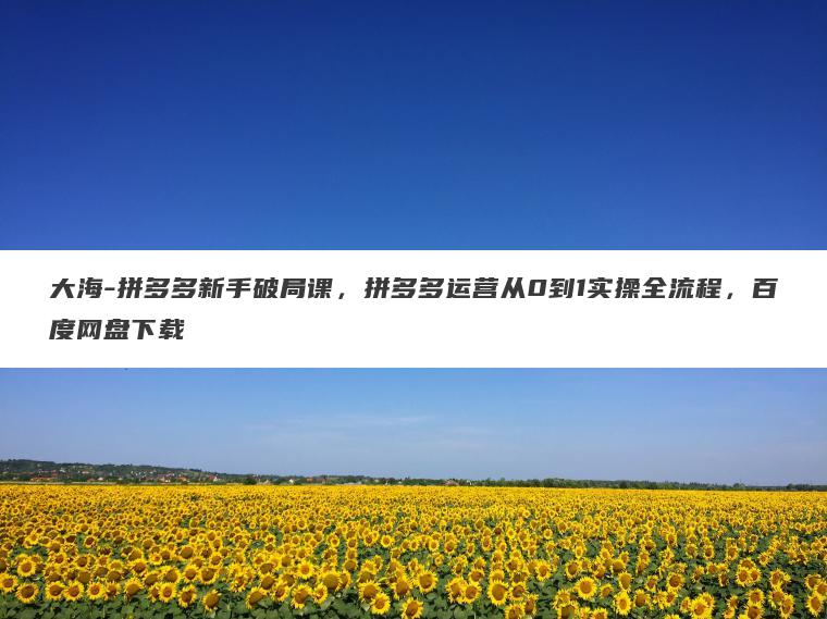 大海-拼多多新手破局课,拼多多运营从0到1实操全流程,百度网盘下载 大海-拼多多新手破局课,拼多多运营从0到1实操全流程,百度网盘下载