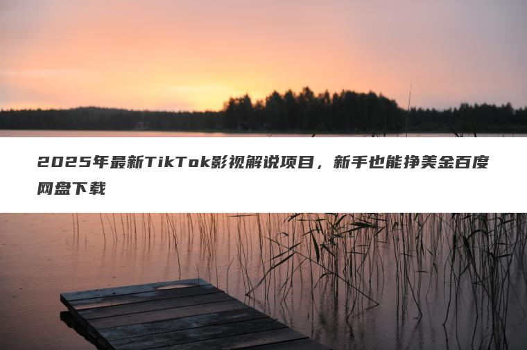 2025年最新TikTok影视解说项目,新手也能挣美金百度网盘下载 2025年最新TikTok影视解说项目,新手也能挣美金百度网盘下载