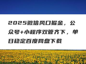 2025微信风口掘金，公众号+小程序双管齐下，单日稳定百度网盘下载