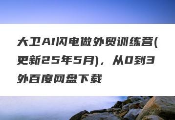 大卫AI闪电做外贸训练营(更新25年5月)，从0到3外百度网盘下载