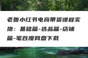 老鲁小红书电商带货课程实操：基础篇-选品篇-店铺篇-笔百度网盘下载