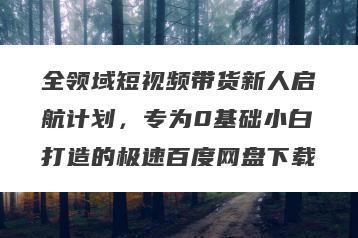 全领域短视频带货新人启航计划，专为0基础小白打造的极速百度网盘下载