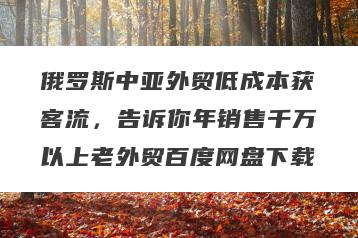 俄罗斯中亚外贸低成本获客流，告诉你年销售千万以上老外贸百度网盘下载