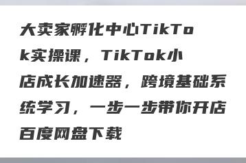 大卖家孵化中心TikTok实操课，TikTok小店成长加速器，跨境基础系统学习，一步一步带你开店百度网盘下载