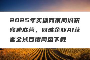 2025年实体商家同城获客速成营，同城企业AI获客全域百度网盘下载