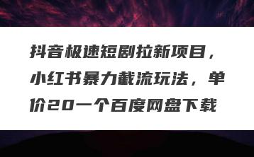 抖音极速短剧拉新项目，小红书暴力截流玩法，单价20一个百度网盘下载