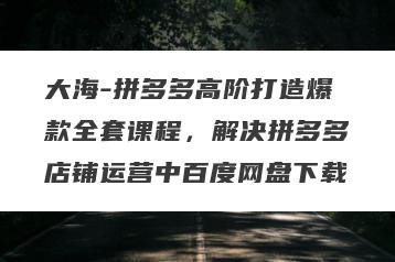 大海-拼多多高阶打造爆款全套课程，解决拼多多店铺运营中百度网盘下载