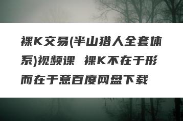 裸K交易(半山猎人全套体系)视频课 裸K不在于形而在于意百度网盘下载
