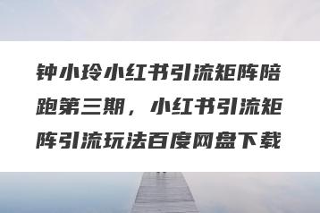 钟小玲小红书引流矩阵陪跑第三期，小红书引流矩阵引流玩法百度网盘下载