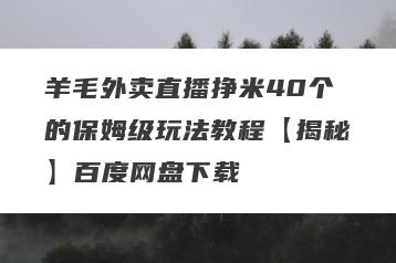羊毛外卖直播挣米40个的保姆级玩法教程【揭秘】百度网盘下载
