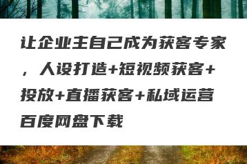 让企业主自己成为获客专家，人设打造+短视频获客+投放+直播获客+私域运营百度网盘下载