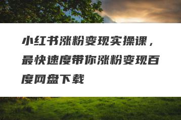 小红书涨粉变现实操课，最快速度带你涨粉变现百度网盘下载