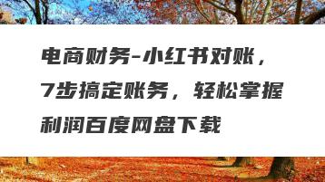 电商财务-小红书对账，7步搞定账务，轻松掌握利润百度网盘下载