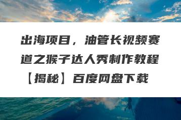 出海项目，油管长视频赛道之猴子达人秀制作教程【揭秘】百度网盘下载