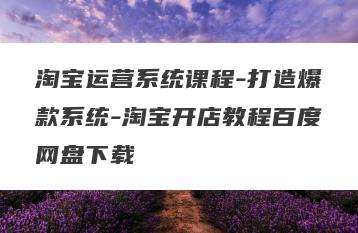 淘宝运营系统课程-打造爆款系统-淘宝开店教程百度网盘下载