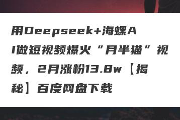 用Deepseek+海螺AI做短视频爆火“月半猫”视频，2月涨粉13.8w【揭秘】百度网盘下载
