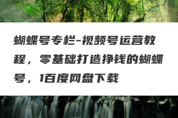 蝴蝶号专栏-视频号运营教程，零基础打造挣钱的蝴蝶号，1百度网盘下载