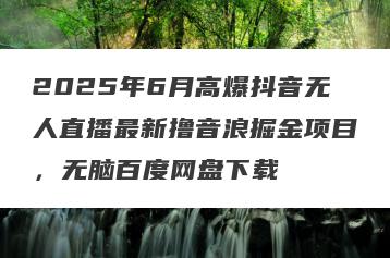 2025年6月高爆抖音无人直播最新撸音浪掘金项目，无脑百度网盘下载