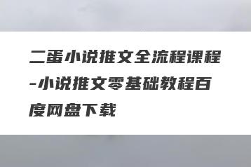 二蛋小说推文全流程课程-小说推文零基础教程百度网盘下载