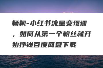 杨枫-小红书流量变现课，如何从第一个粉丝就开始挣钱百度网盘下载
