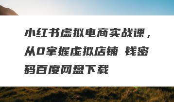 小红书虚拟电商实战课，从0掌握虚拟店铺賺钱密码百度网盘下载