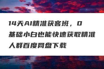 14天AI精准获客班，0基础小白也能快速获取精准人群百度网盘下载
