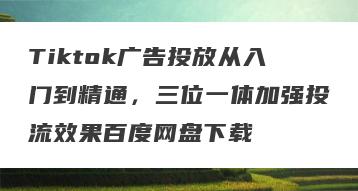 Tiktok广告投放从入门到精通，三位一体加强投流效果百度网盘下载
