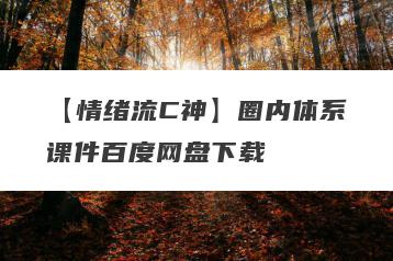 【情绪流C神】圈内体系课件百度网盘下载