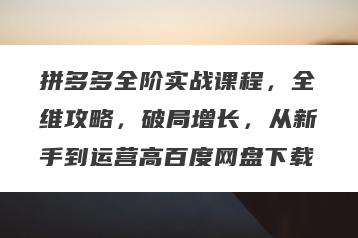 拼多多全阶实战课程，全维攻略，破局增长，从新手到运营高百度网盘下载