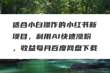 适合小白操作的小红书新项目，利用AI快速涨粉，收益每月百度网盘下载
