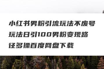 小红书男粉引流玩法不废号玩法日引100男粉变现路径多操百度网盘下载